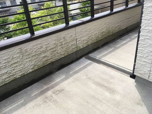 日陰部分に苔・カビ